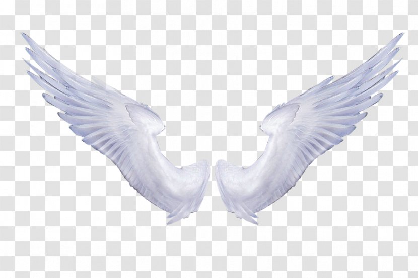 Wing Angel Clip Art - Raster Graphics - Black And White Angels Transparent PNG