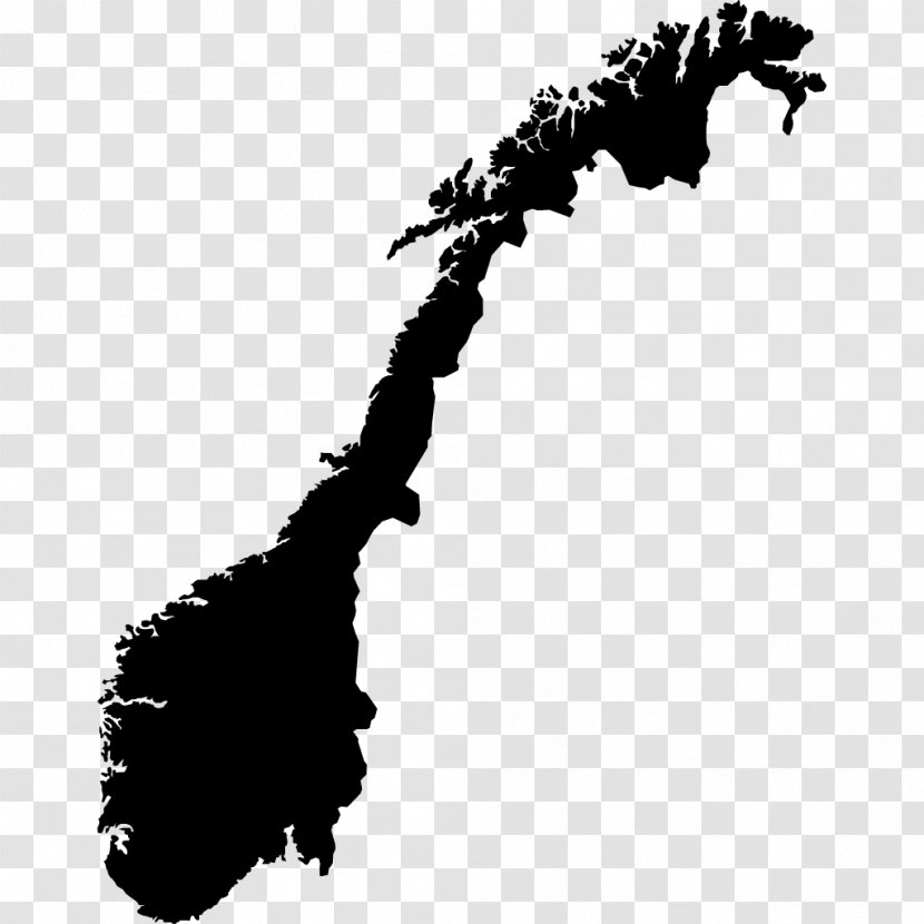 Flag Of Norway Vector Map Transparent PNG