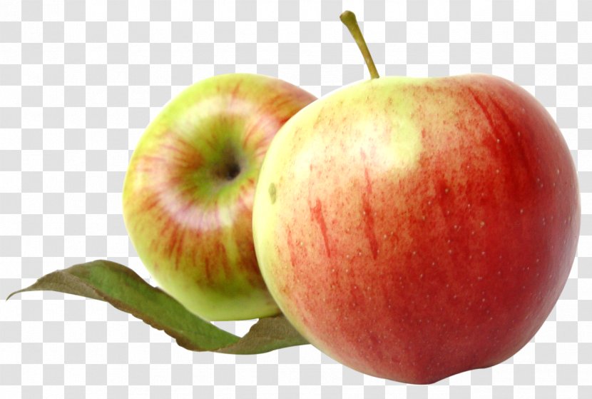 Apple Fruit Clip Art - Diet Food - Two Red Apples With Leaves Transparent PNG