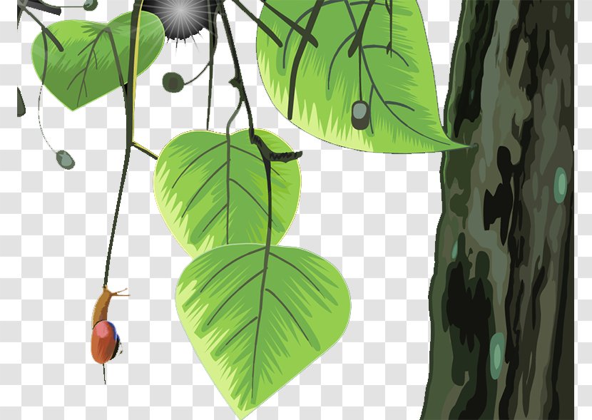 Leaf Branch Landscape Tree - Coconut Transparent PNG
