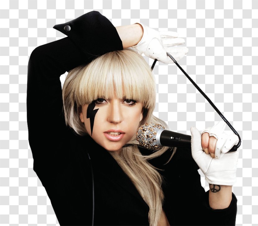 Lady Gaga The Fame Clip Art - Flower - LADY GAGA SPIDER Transparent PNG