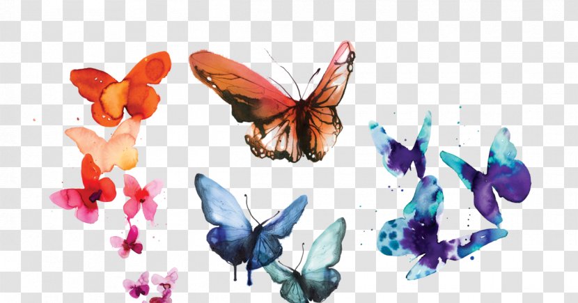 Butterfly Watercolor Painting Clip Art Image - Monarch - Carolynns Transparent PNG