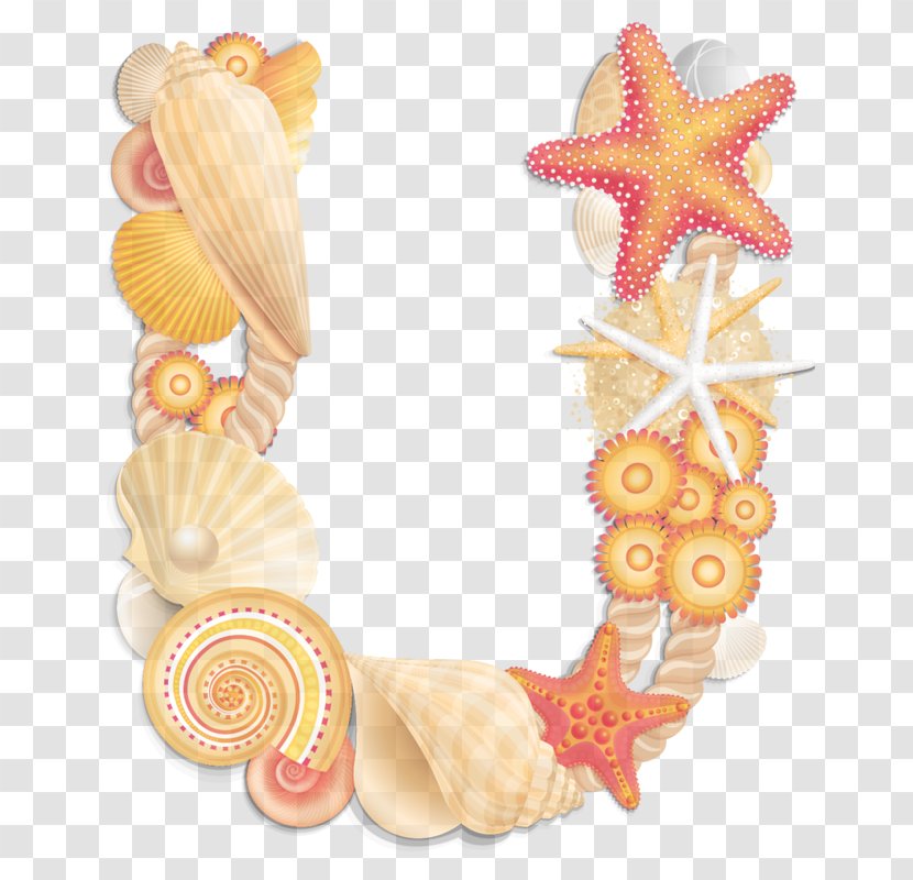 Shell Fashion Accessory Peach Transparent PNG