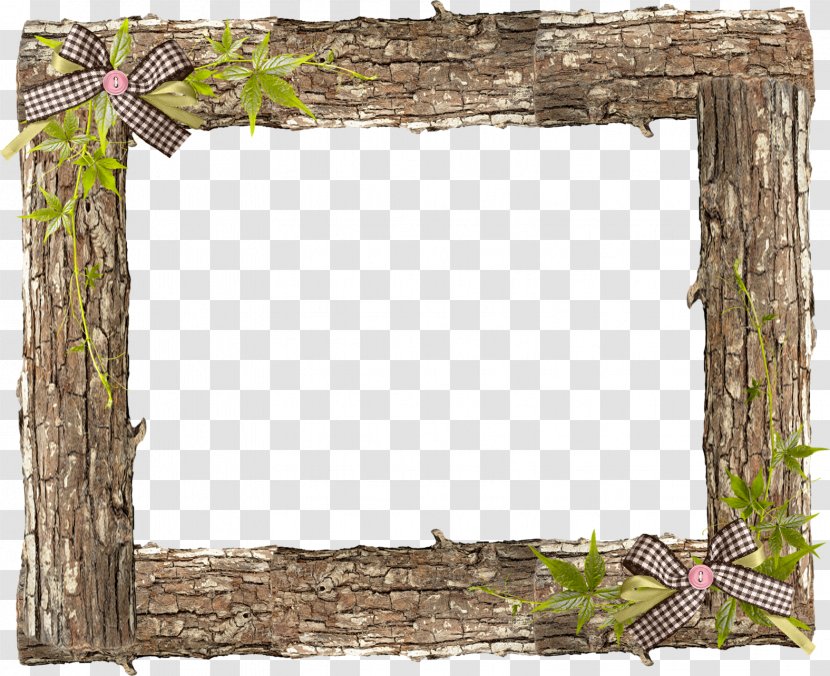 Paper Picture Frames Photography Greeting & Note Cards - Flower - Photograph Transparent PNG