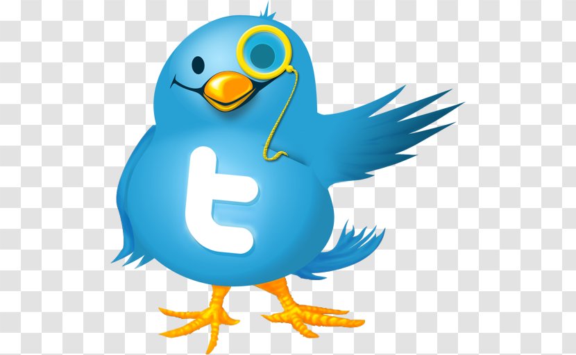 Social Media Twitter - Bird - Microblogging Transparent PNG