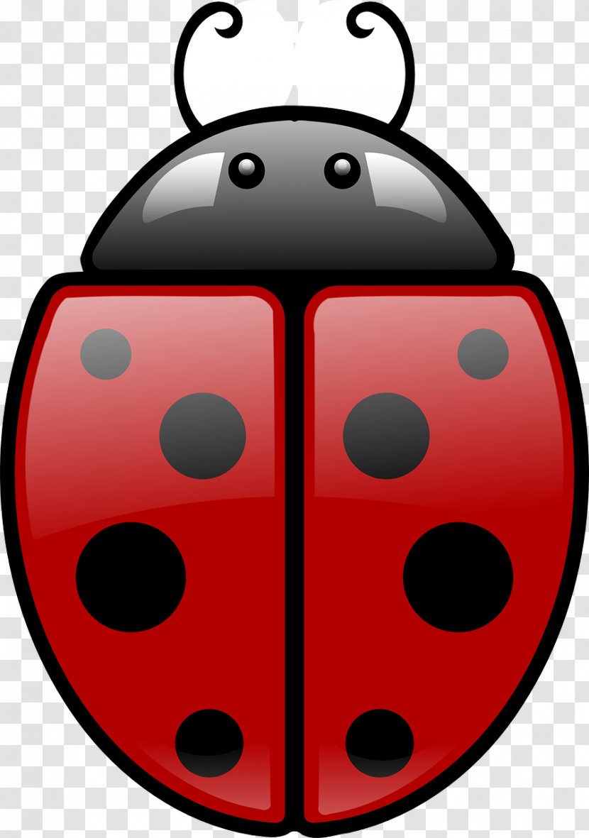 Ladybird Beetle Clip Art - Symmetry Transparent PNG