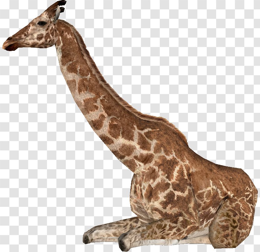 Zoo Tycoon 2: Extinct Animals Giraffa Jumae Northern Giraffe Even-toed Ungulates Sivalensis Transparent PNG