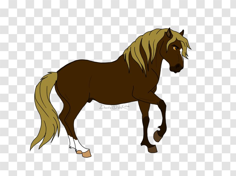 Foal Mustang Stallion Pony Colt - Halter Transparent PNG