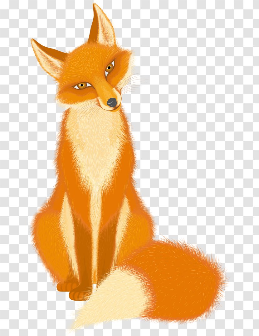 Red Fox Clip Art - Cat Transparent PNG