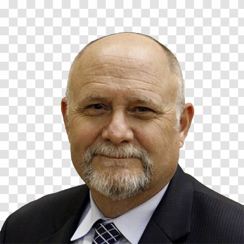 Tomas Eneroth Research Scientist Ministry Of Earth Sciences - Indian Institute Tropical Meteorology - Chief Executive Transparent PNG