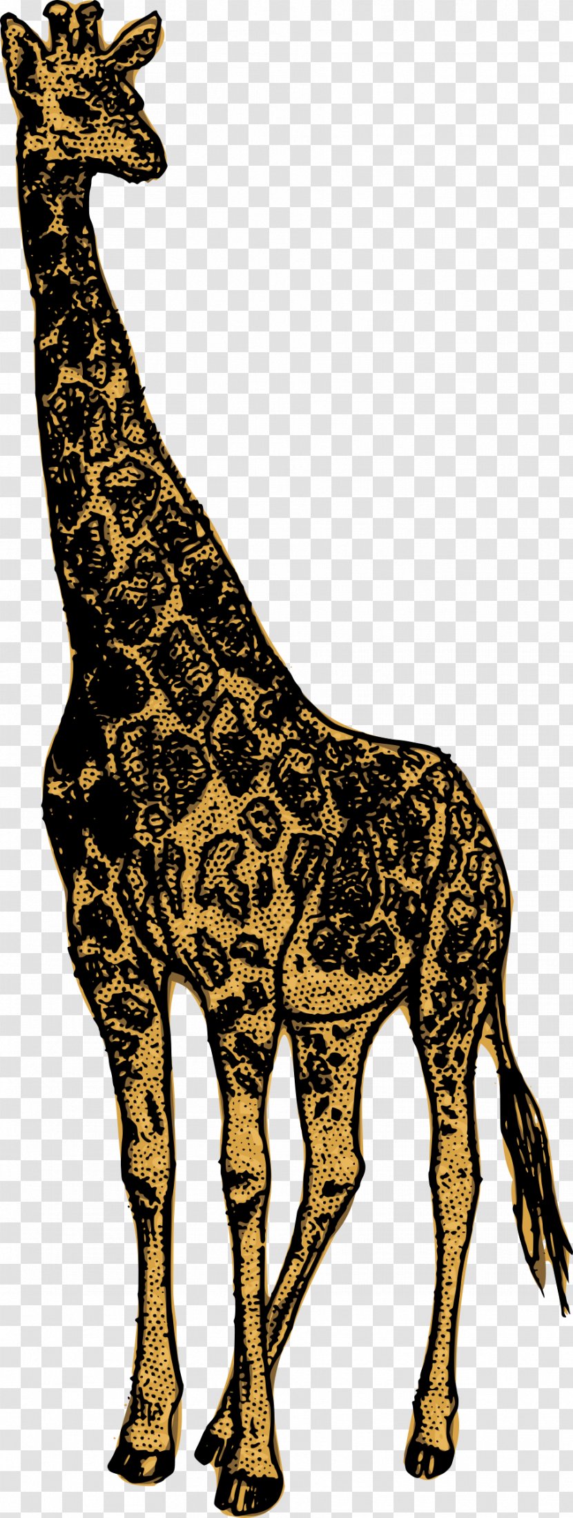Giraffe Animal Clip Art - Neck - Gorgeous Signboard Transparent PNG