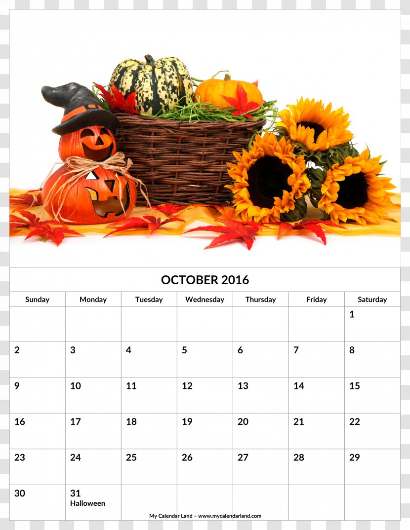 Halloween Harvest Jack-o'-lantern Autumn - Flower Transparent PNG