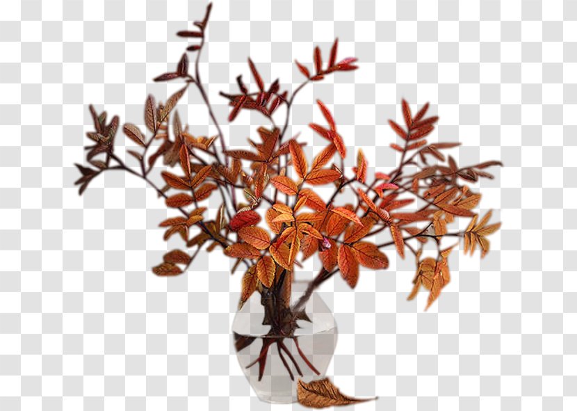 Vase Autumn Flower - Twig Transparent PNG