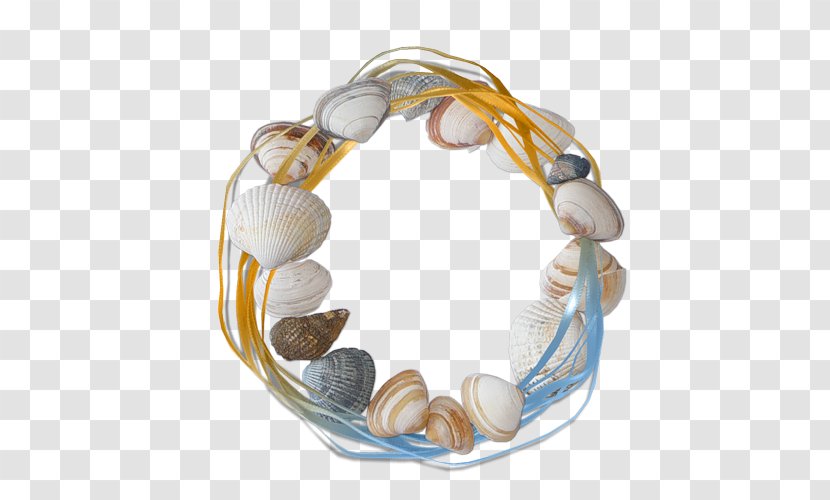 Seashell Drawing - Jewellery Transparent PNG