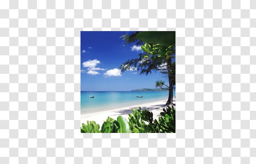 Beach Wayang Apartment Desktop Wallpaper - Shore - Phuket Province Transparent PNG