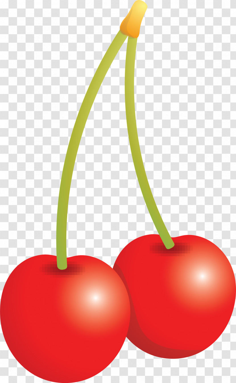 Cherry Transparent PNG