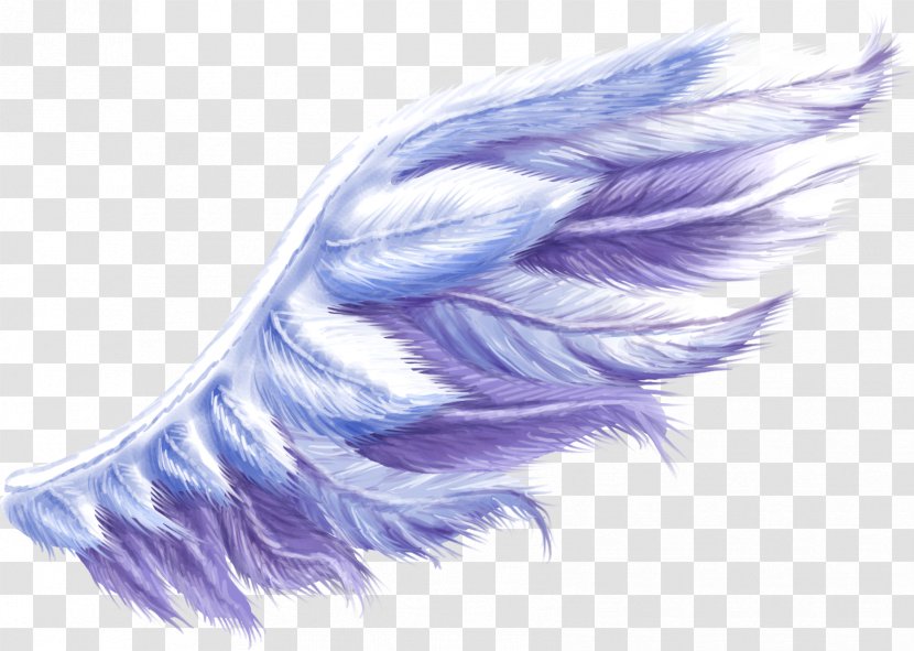 Purple Animals Wing Feather Clip Art - Computer Software - Twine Transparent PNG