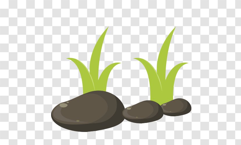 Clip Art - Plant - Green Grass Transparent PNG