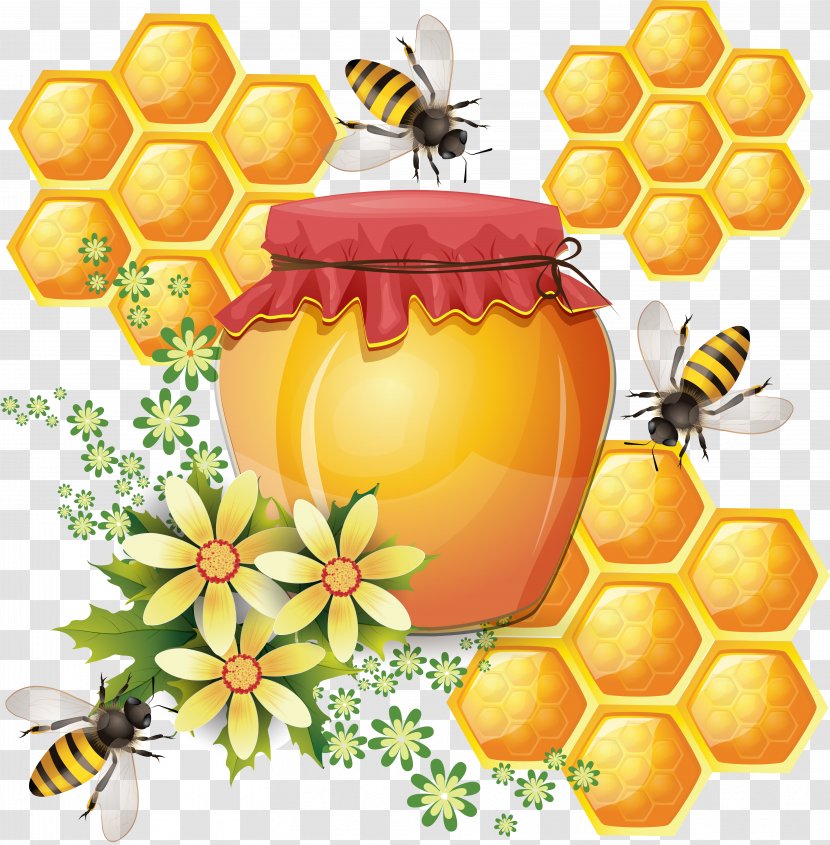 Western Honey Bee Honeycomb Beehive Vector Graphics - Flower Transparent PNG