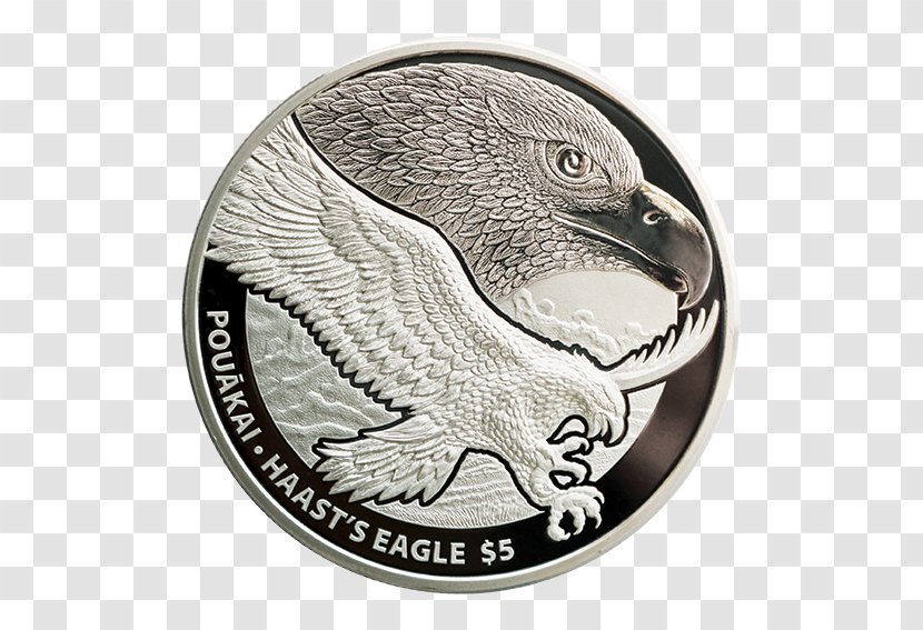 Coin Haast's Eagle Bird - True Eagles Transparent PNG