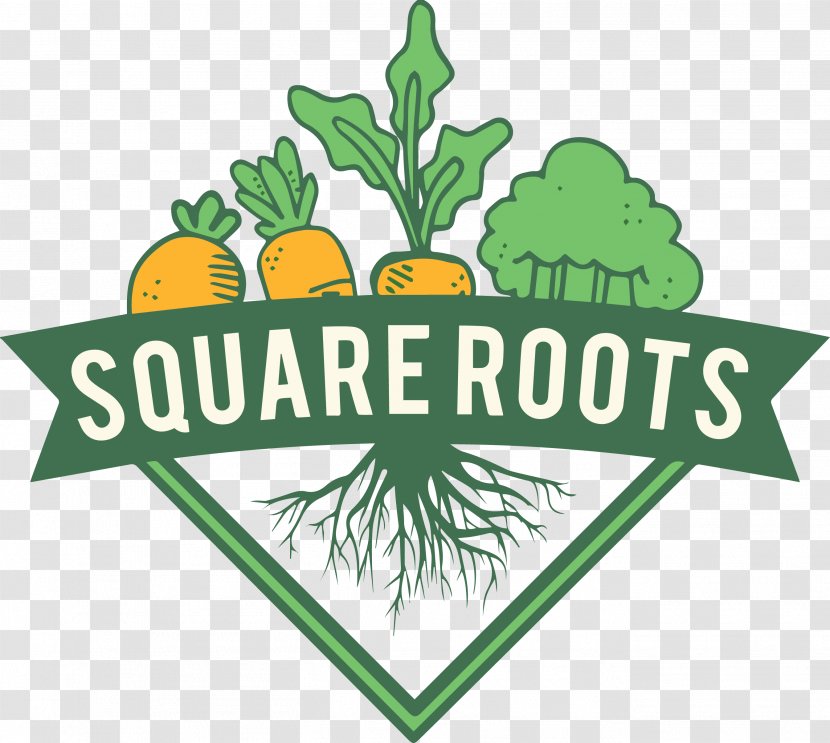 Square Root Food Area Produce - Artwork - Roots Transparent PNG
