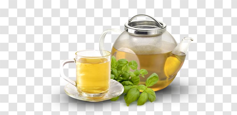 Tea Coffee Infusion Basil Fizzy Drinks Transparent PNG