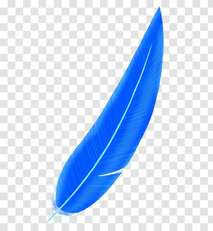 Cobalt Blue Feather Transparent PNG