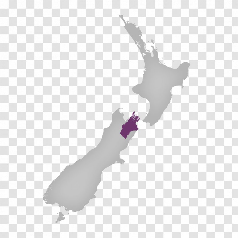 New Zealand Vector Map - Mapa Polityczna - Out Of Silt Transparent PNG