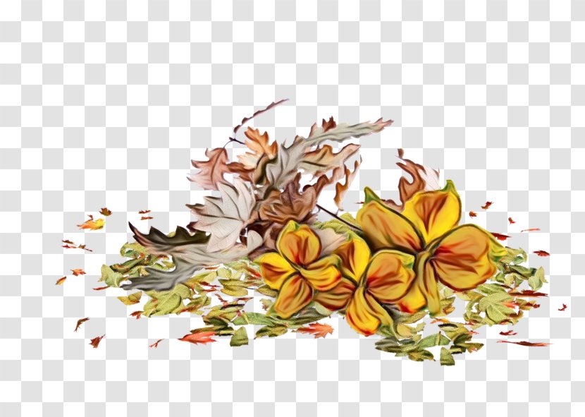 Watercolor Flower Background - Floral Design - Perennial Plant Leaf Transparent PNG