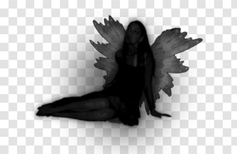 Black And White Silhouette Fairy - Wing Transparent PNG