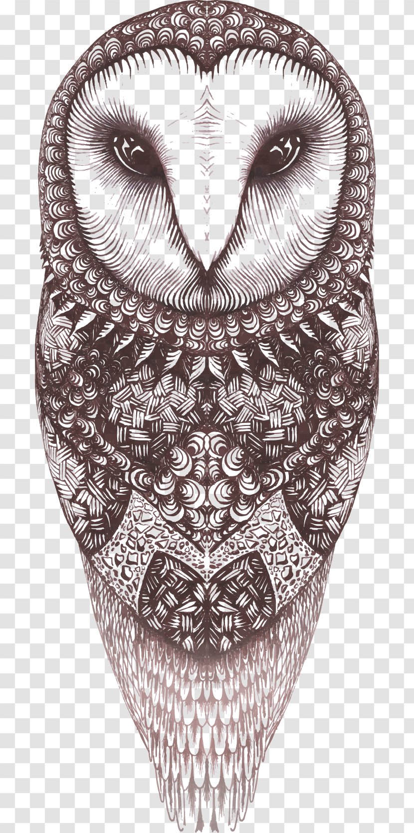 Owl Euclidean Vector - Element Transparent PNG
