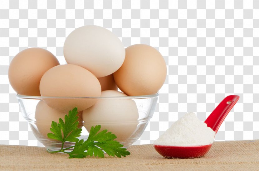 Egg Chicken Flour Ingredient Powder Transparent PNG