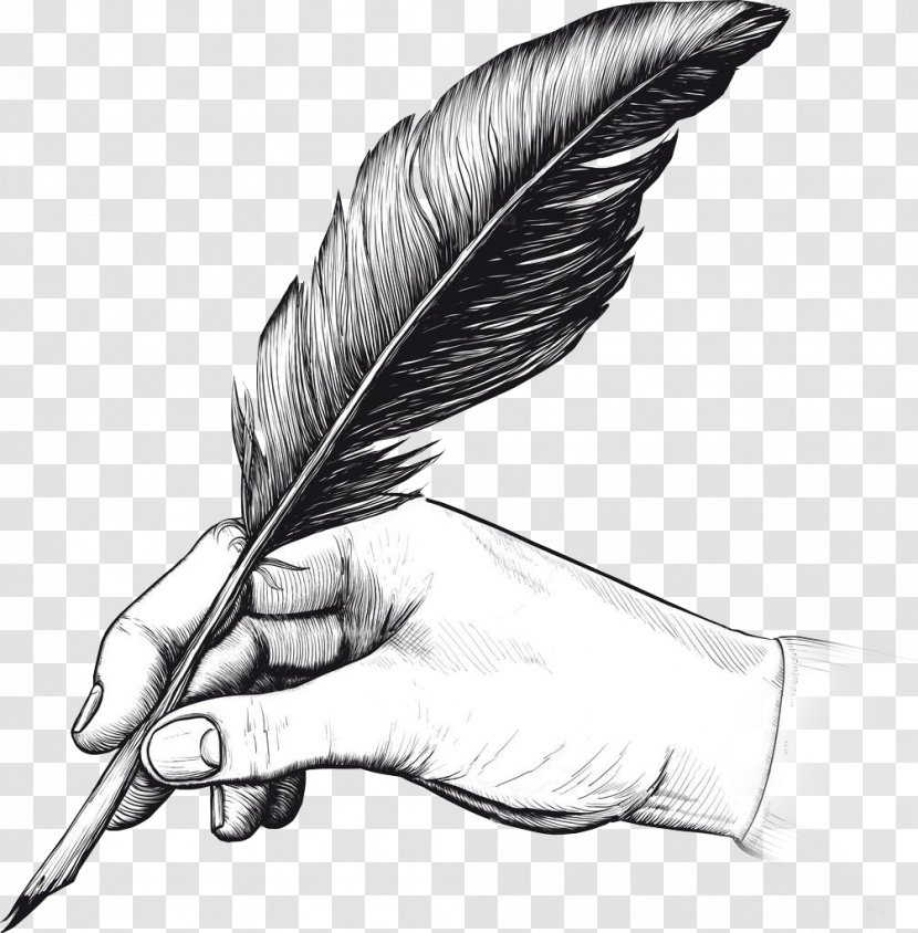 Quill Fountain Pen Drawing Writing - Feather Transparent PNG