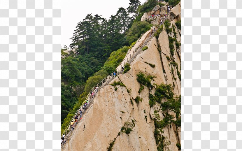 Mount Hua Cinq Montagnes Sacrées Tianmen Mountain Travel Huangshan - Road Transparent PNG