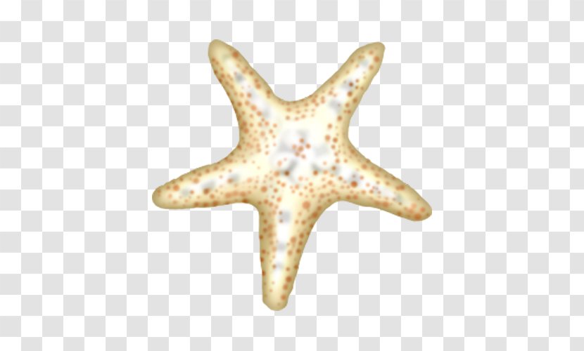 Starfish Cartoon - Spotted Transparent PNG