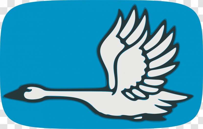 Flight Black Swan Trumpeter Bird Clip Art - Cygnini Transparent PNG