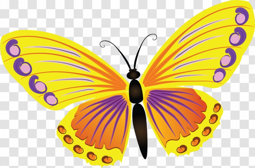 Butterfly Light Color - Table - Hand-paint Transparent PNG