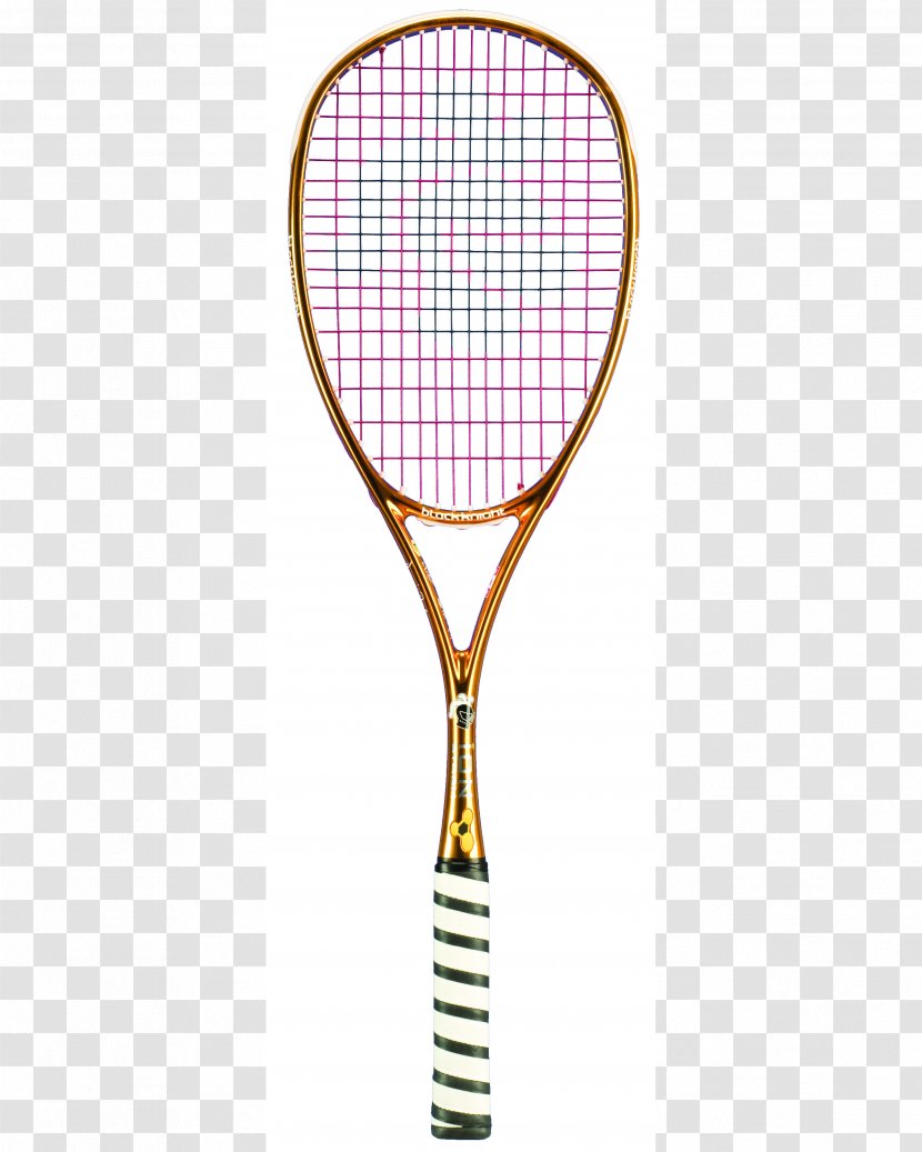 Racket Rakieta Do Squasha Sport Squash Australia - Ball - Acorn Transparent PNG