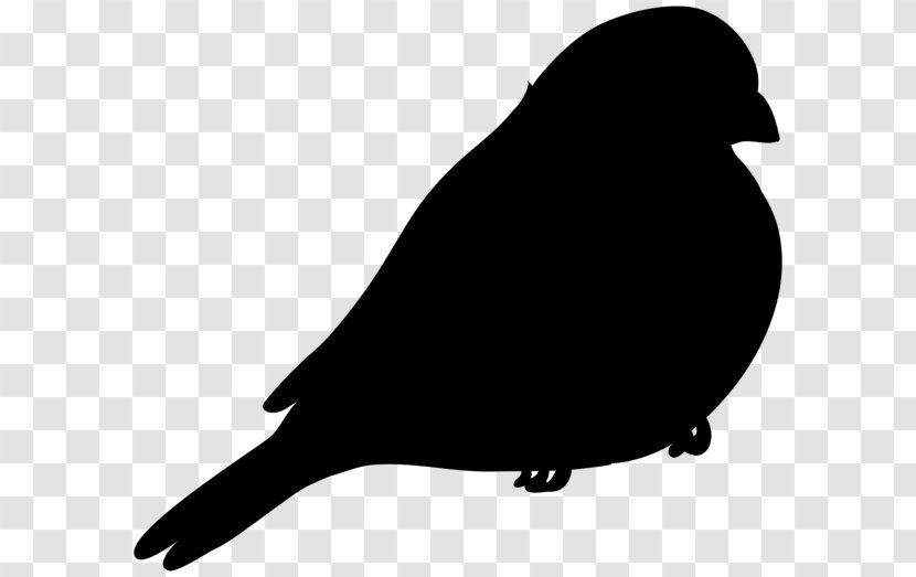 Beak American Sparrows Clip Art Fauna Silhouette - Blackandwhite Transparent PNG