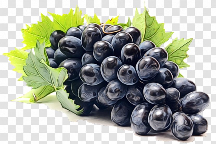 Grape Fruit Berry Grapevine Family Superfood - Blueberry Vitis Transparent PNG