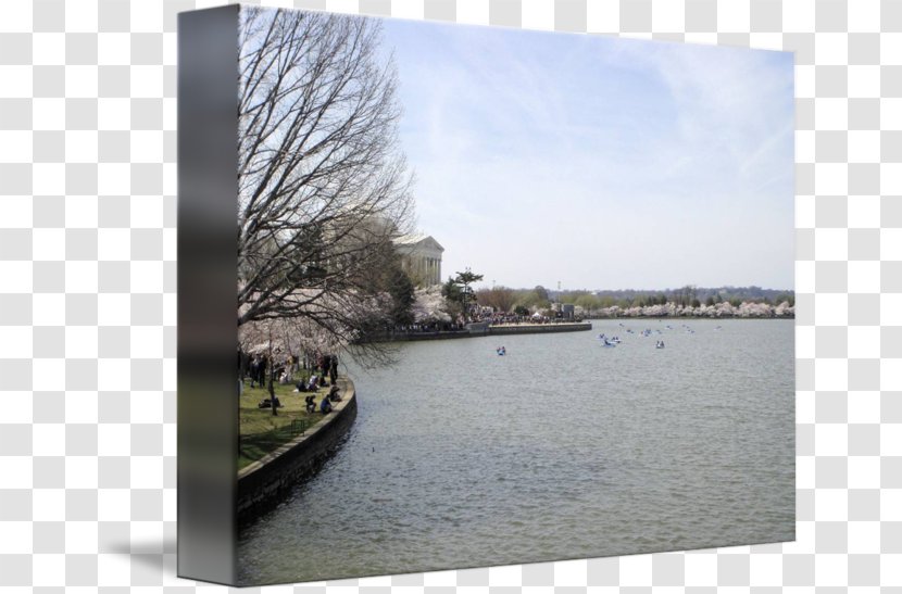 Loch Inlet Water Resources Stock Photography - Cherry Blossom Festival Poster Transparent PNG