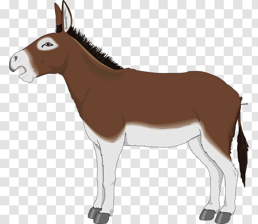 Donkey Drawing Clip Art - Pack Animal Transparent PNG