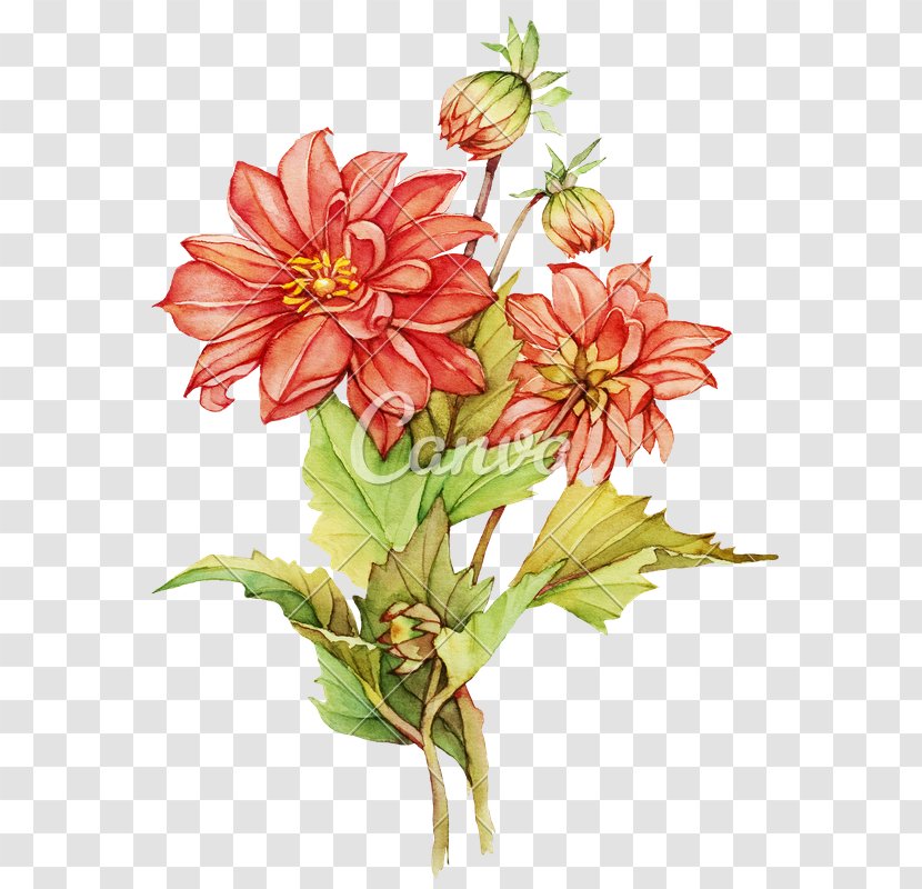 Flower Stock Photography Watercolor Painting Drawing - Royaltyfree - Watercolour Transparent PNG