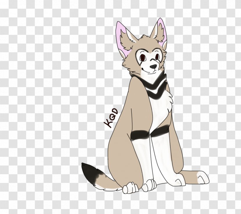 Whiskers Dog Cat Red Fox - Small To Medium Sized Cats - Northern Inuit Transparent PNG
