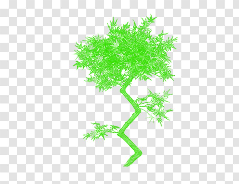 Cartoon Tree - Plant Stem Transparent PNG