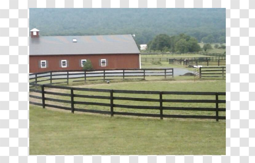 Horse Fence Pasture Ranch Property - Sports - Beautiful Country Transparent PNG