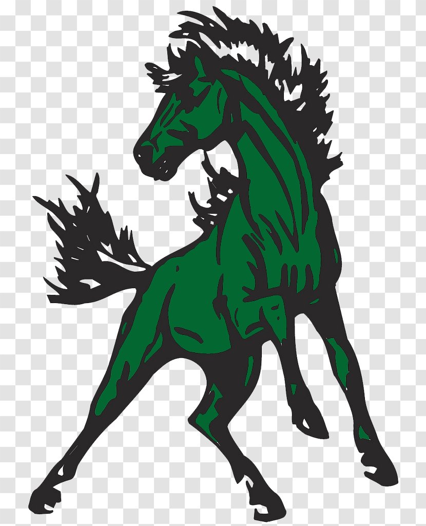 The Mustang Clear Fork High School Stallion Eustis Middle - Household Transparent PNG