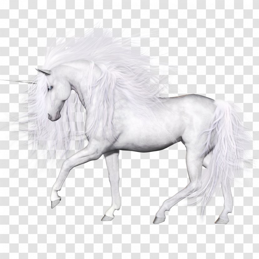 Horse Unicorn - Livestock Transparent PNG
