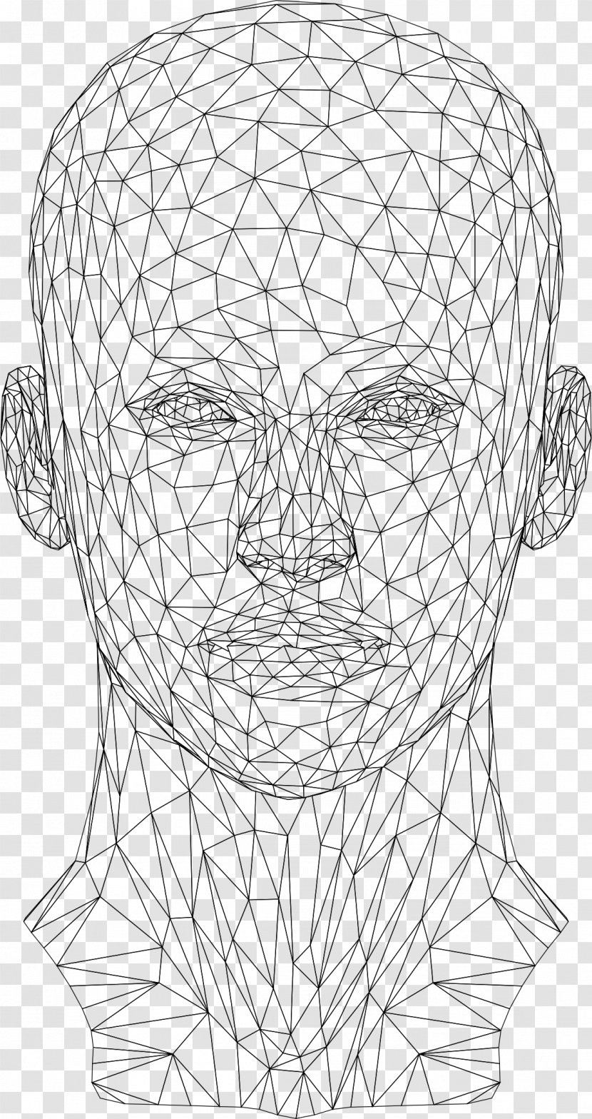 Website Wireframe Wire-frame Model Human Head - Tree - Wires Transparent PNG