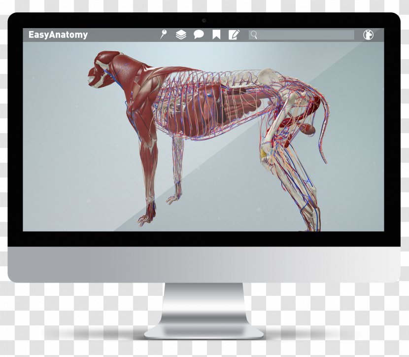 Virtual Reality Anatomy LlamaZOO Canon Business - Advertising Transparent PNG